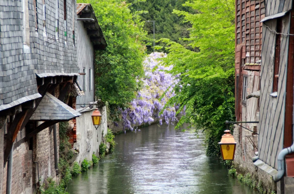 Un canal de Pont-Audemer bordé de maisons anciennes et de glycines.